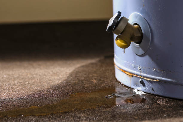 Best Water damage restoration near me  in Dayton, NV
