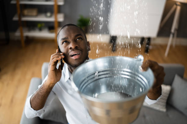 Best Professional water damage repair  in Dayton, NV