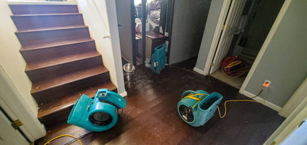 Best Water damage restoration near me  in Dayton, NV