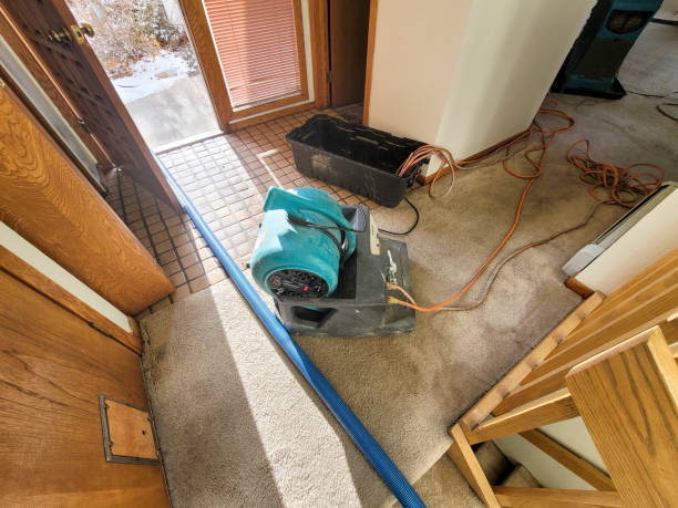 Best Flooded house restoration  in Dayton, NV