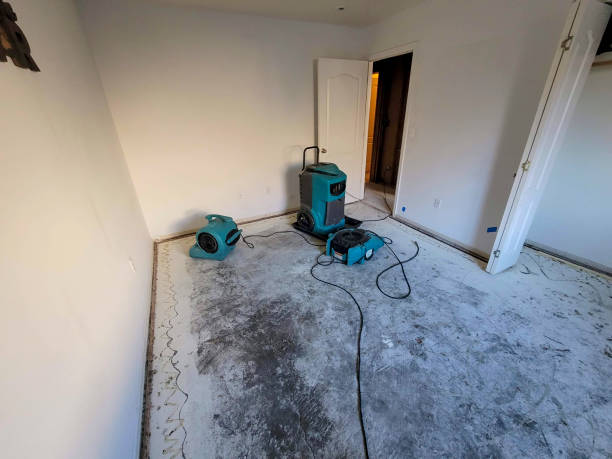 Best Fire Damage Restoration  in Dayton, NV