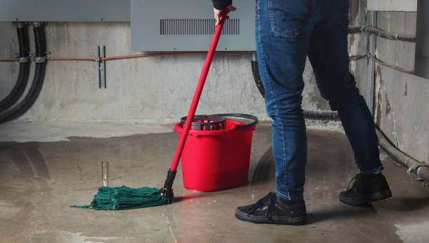 Best 24/7 water damage repair  in Dayton, NV