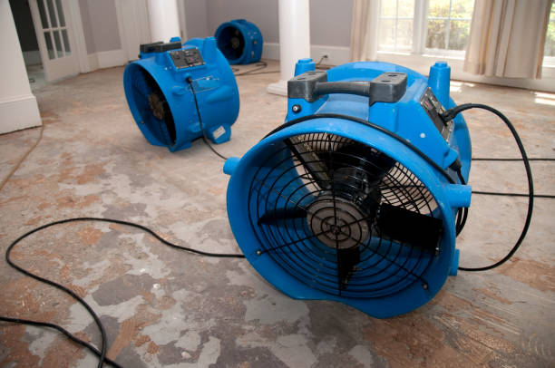 Best 24-hour water damage restoration  in Dayton, NV