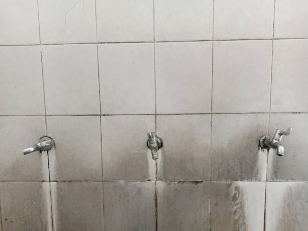 Best Residential water damage restoration  in Dayton, NV