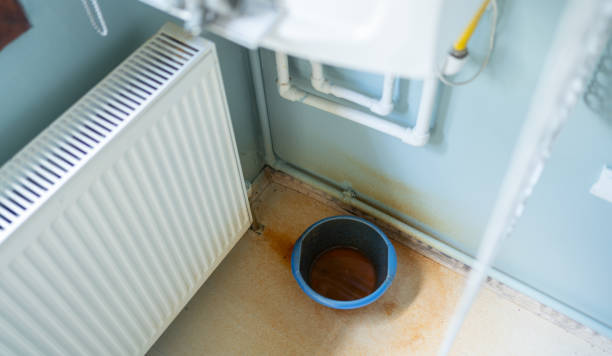 Best Basement water damage restoration  in Dayton, NV