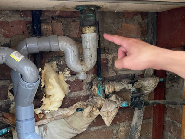 Best Emergency water damage restoration  in Dayton, NV