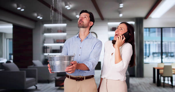  Dayton, NV Water damage restoration Pros